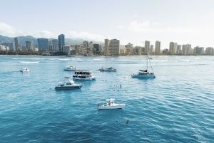 Вайкики: сноркелинг в Черепашьем каньоне (до 6 пассажиров)