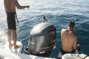 Вайкики: сноркелинг в Черепашьем каньоне (до 6 пассажиров)