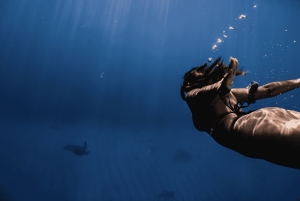 Вайкики: сноркелинг в Черепашьем каньоне (до 6 пассажиров)