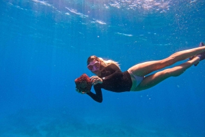 Waikiki: Turtle Canyon Snorkel Tour with Small Group