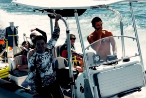 Waikiki: Turtle Canyon Snorkel Tour with Small Group