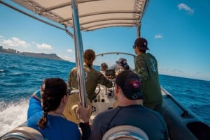 Waikiki: Turtle Canyon Snorkel Tour with Small Group