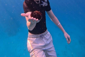 Waikiki: Turtle Canyon Snorkel Tour with Small Group