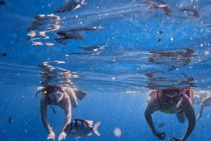 Waikiki: Turtle Canyon Snorkel Tour with Small Group
