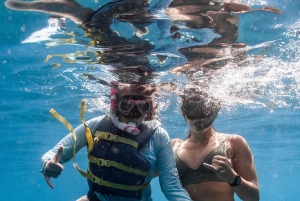 Waikiki: Turtle Canyon Snorkel Tour with Small Group