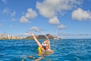 Waikiki: Turtle Canyon Snorkel Tour with Small Group