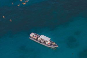 Waikiki: Turtle Canyon Snorkel Tour with Small Group