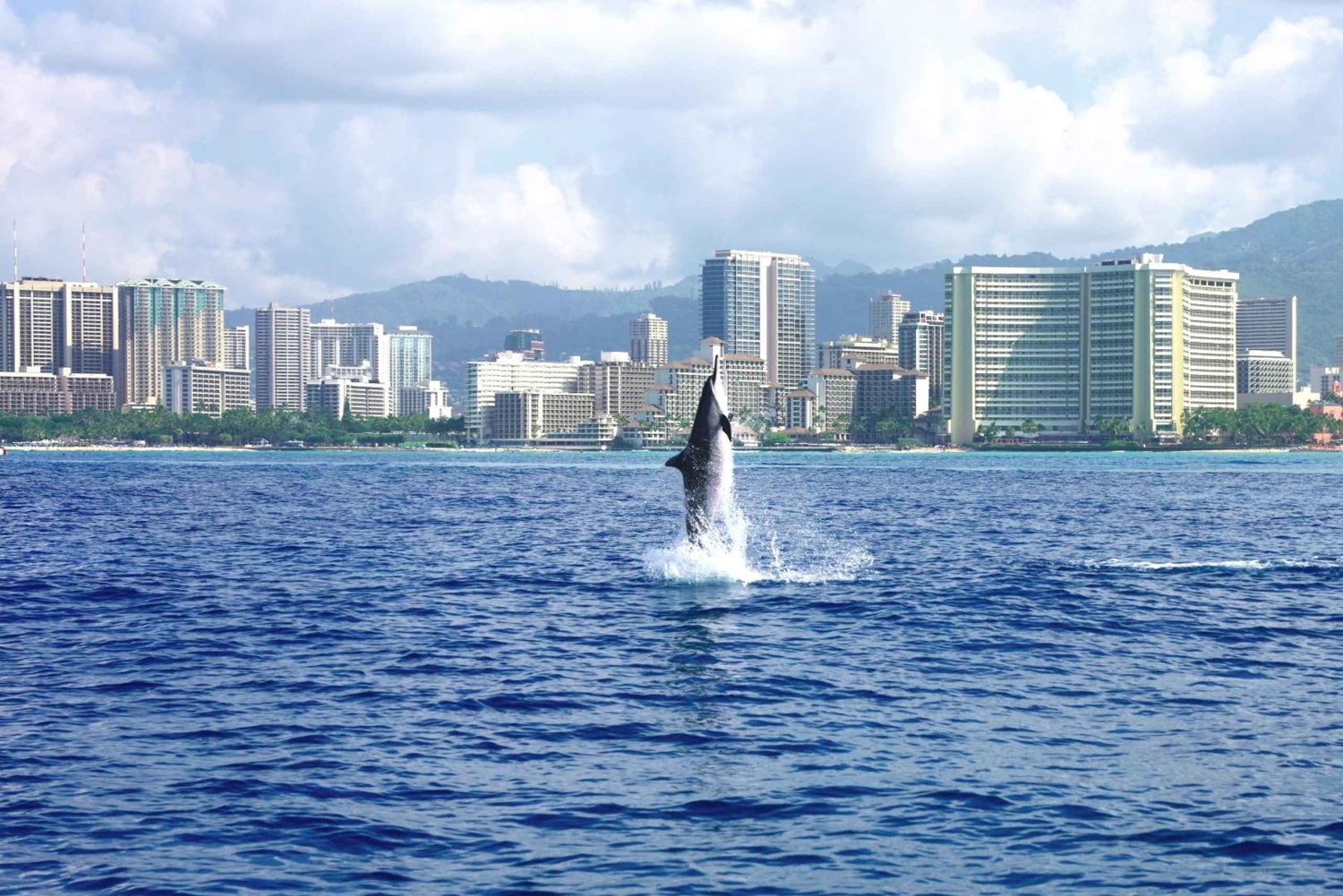 Waikiki: rejs wycieczkowy z nurkowaniem w Kanionie Żółwi