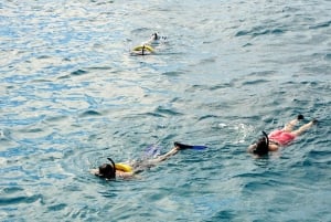 Waikiki: tour in barca e snorkeling al Turtle Canyon