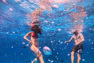 Waikiki: rejs wycieczkowy z nurkowaniem w Kanionie Żółwi