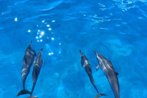 Waikiki: rejs wycieczkowy z nurkowaniem w Kanionie Żółwi