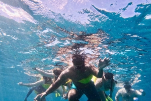 Waikiki: rejs wycieczkowy z nurkowaniem w Kanionie Żółwi