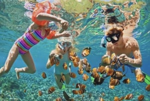 Snorkel en Waikiki y aventura en el parque acuático Ocean Waterpark