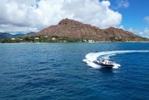 Waikiki: tour in barca e snorkeling al Turtle Canyon