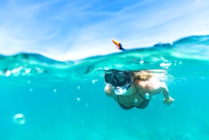 Waikiki Crucero de snorkel con tortuga y plataforma de salto de 6 metros