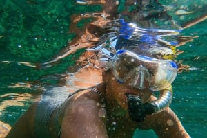 Waikiki: Turtle Snorkeling Experience