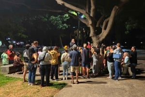 Waikiki: Waikiki Night Marchers Excursão mal-assombrada a pé