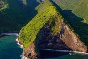 Waikoloa: Big Island spectaculaire helikoptervlucht