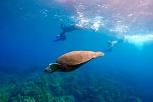 Wailea Beach: Guided Sea Scooter Snorkeling Tour