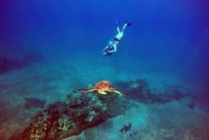 Wailea Beach: Guided Sea Scooter Snorkeling Tour