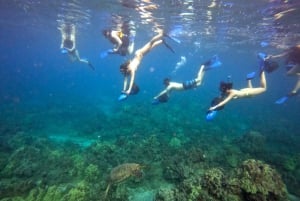 Wailea Beach: Guided Sea Scooter Snorkeling Tour