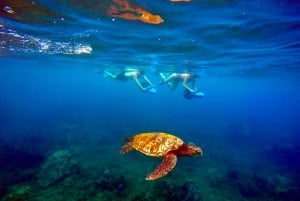 Wailea Beach: Guided Sea Scooter Snorkeling Tour