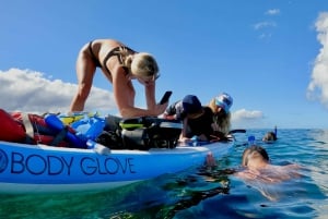 Wailea Beach: Snorkeling for Non-Swimmers Guided Tour