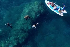 Wailea Beach: Snorkeling for Non-Swimmers Guided Tour