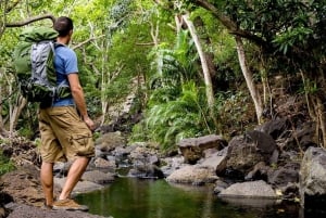 Wailua-dalen og vandfaldene i Kauai: Audio Tour Guide