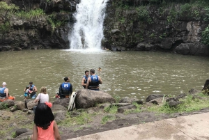 Oahu: Waimea Falls & North Shore Beach Day