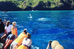 Waimea, Nā Pali Nā Pali Coast Zodiac Raft Havsgrottor + snorkling
