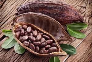 滝、チョコレートツアー、熱帯雨林、王室の歴史