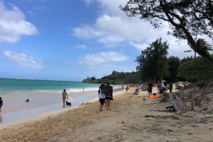 Oahu: Waterfall Hike & East Side Beach Day