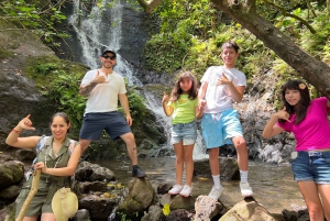 Oahu: Waterfall Hike via Scenic South Shore Drive