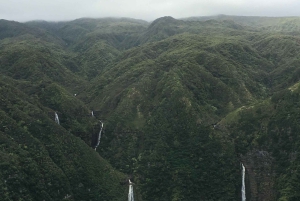 West Maui and Molokai Special 45-Minute Helicopter Tour