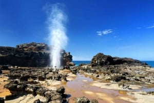 Passeio pela costa oeste de Maui: Guia de turismo em áudio