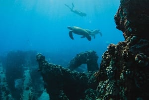 West Maui: Ochtend Pali kust snorkelen & zeilen