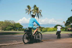 West Maui: Self-Guided E-Bike, Hiking & Snorkeling Excursion