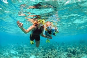 Navegue para o oeste de Oahu com almoço, golfinhos e mergulho com snorkel