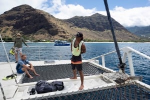 Segla till västra Oahu med lunch, delfiner och snorkling