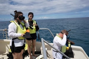 Zeil naar West-Oahu met lunch, dolfijnen en snorkelen