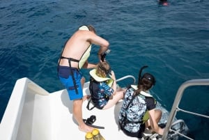 Popłyń do zachodniego Oahu z lunchem, delfinami i nurkowaniem z rurką