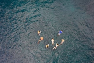 Segla till västra Oahu med lunch, delfiner och snorkling