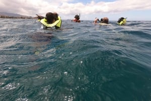 Purjehdus Länsi-Oahulle lounaan, delfiinien ja snorklauksen kanssa
