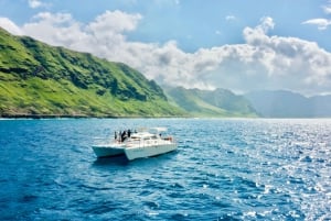 Oeste de O'ahu Crucero en catamarán para nadar con delfines
