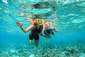 West Oahu: Turtles, Dolphins, and Snorkeling Tour with Lunch
