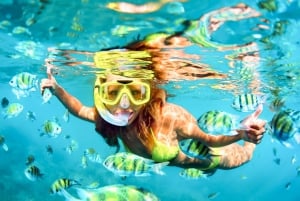 West Oahu: Turtles, Dolphins, and Snorkeling Tour with Lunch