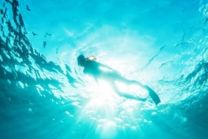 West Oahu: Turtles, Dolphins, and Snorkeling Tour with Lunch