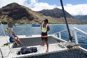 West Oahu: Turtles, Dolphins, and Snorkeling Tour with Lunch