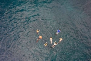 West Oahu: Turtles, Dolphins, and Snorkeling Tour with Lunch